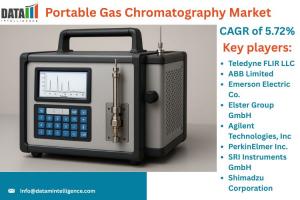 Portable Gas Chromatography Market