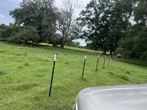 Close up of a cow farm fence that Tony built.