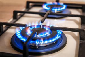 Biomethane Market, by Feedstock