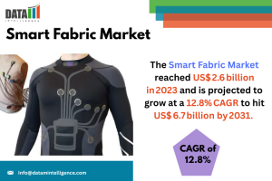 Smart Fabric Market