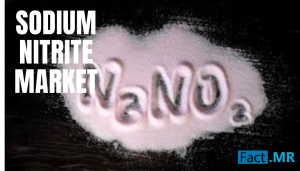 Sodium Nitrite Market