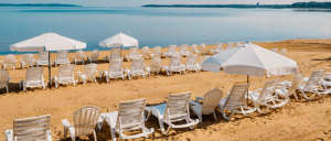 A tranquil beach scene with rows of white lounge chairs and umbrellas, overlooking calm water and a sandy shore.