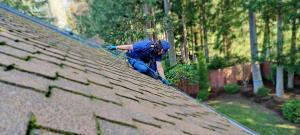 Gutter Cleaning