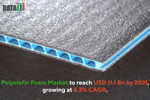 Polyolefin Foam Market