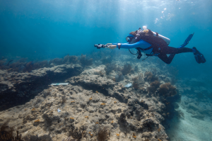 A diver swims through blue water with a GoPro rig capturing images to be processed into a photomosaic