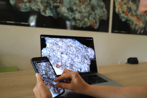A photomosaic on a coral reef is showing on a computer screen, in the foreground, someone is zooming into details on the same mosaic on their mobile phone