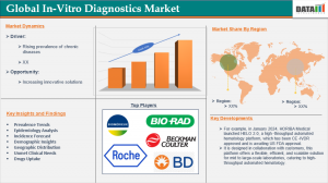 In-Vitro Diagnostics Market 2025