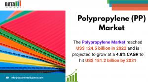 Polypropylene (PP) Market