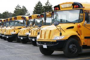 Photo of school buses