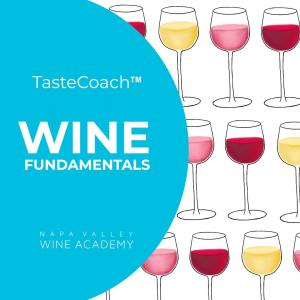 Taste Coach Wine Fundamentals