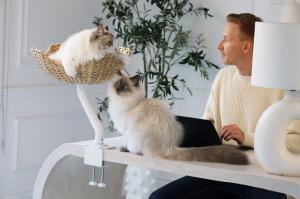 Man working at a white desk with a laptop, accompanied by two fluffy cats—one sitting on the desk, the other resting in a woven, desk-mounted cat bed by ERGO PURRCH™. The space features minimalist decor with a white lamp and indoor plant.