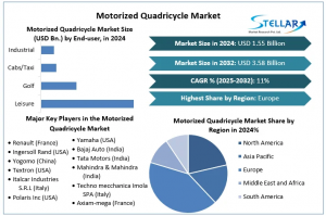 Motorized Quadricycle Market