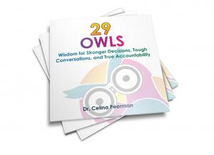 29 Owls book