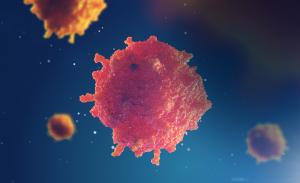 Single Cell Omics Market