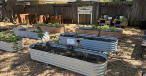 Outdoor Learning Center