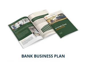 Bank Business Plan Writer