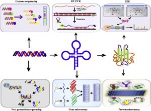 Proteomics Market Report 2025