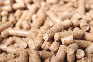 Biomass Pellets Market, by Source