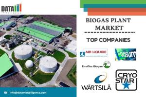 Biogas Plant  Market