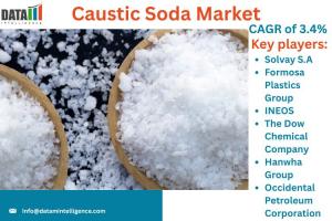 Caustic Soda Market