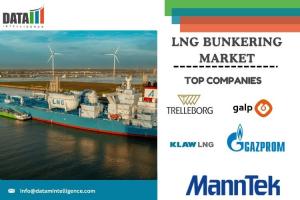LNG Bunkering Market