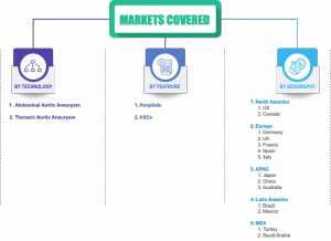 Aortic Stent Graft Market Share, Segment Analysis 2024