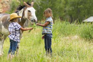 Kids and dude ranches go together