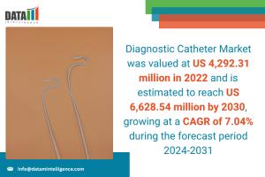 Diagnostic Catheter Market