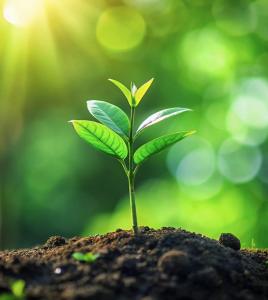 Open Origin’s 100% green ammonia eliminates emissions from fertilizer production—a major source of agriculture’s climate impact.