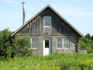 8042 River Rd, Pinckney