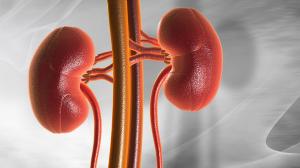 Renal Insufficiency Market