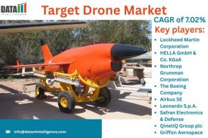 Target Drone Market