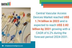 Central Vascular Access Devices Market