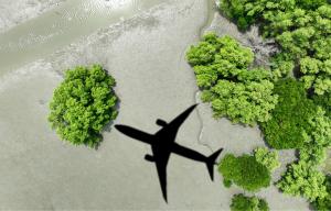 Sustainability in Aviation HR