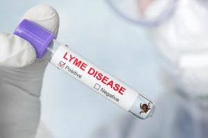 Lyme Disease Diagnostics Market