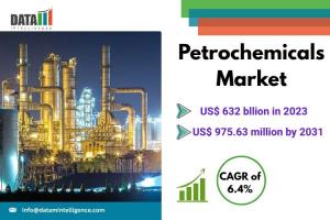 Petrochemicals Market