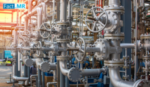 Industrial Safety Valves Market