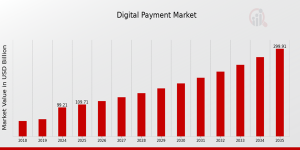 Digital Payment Market report 