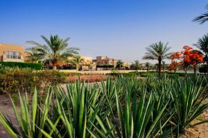 Arabian Ranches 1 sold a record number of home in Q2 2019