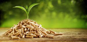 Biomass Pellets Market