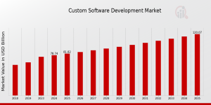 Custom Software Development Market