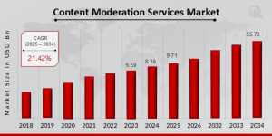 Content Moderation Services Market