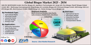 Biogas Market