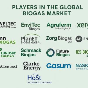Biogas Market Competitive Analysis