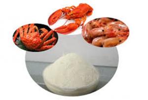 Chitosan Market, by Source