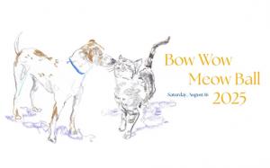 Animal Rescue Fund of the Hamptons  BowWow Meow Ball 2025