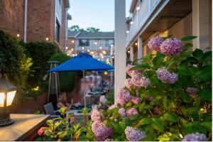 Claude’s Courtyard (Photo Credit: Brian Phelps Photography)