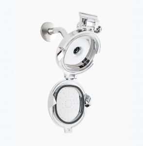 ShowerClear, showerhead
