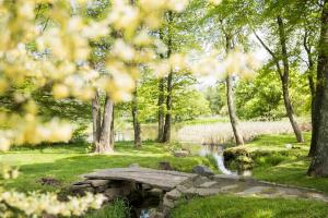 Farminary Pond
