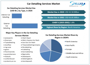 Car Detailing Services Market